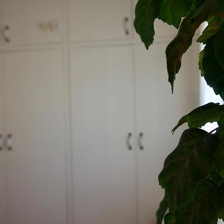 Navarrés Casa Remeヴィラ エクステリア 写真